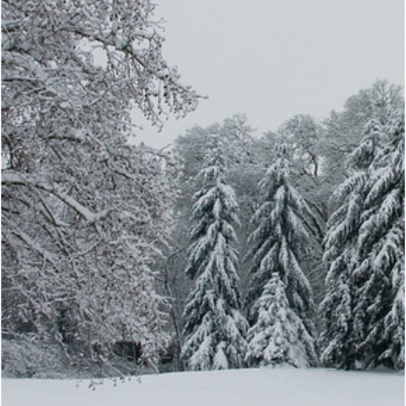 Warm Coats &Jackets 15% off Any 2 or more Items. WOOL LEATHER FAUX FUR Stay WARM - Picture 1 of 3